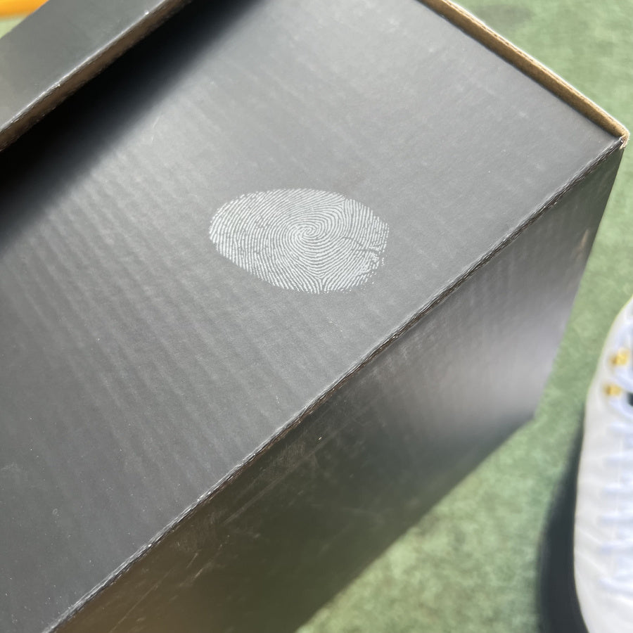 Jordan 12 Retro Taxi (2013)