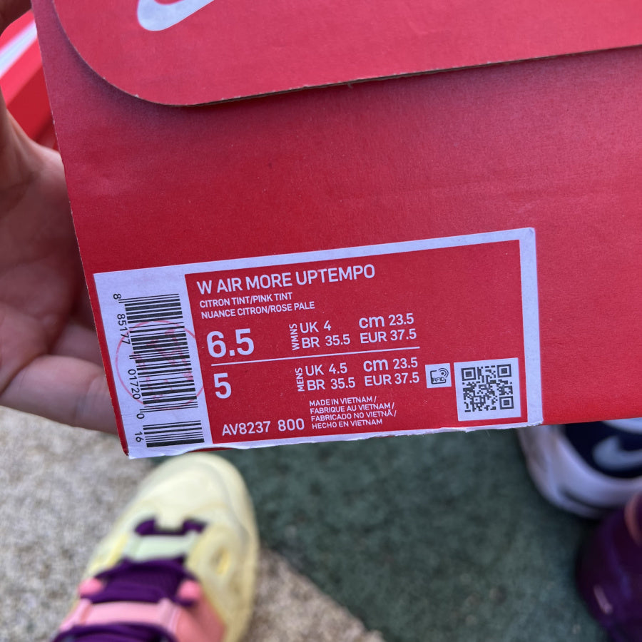 Nike Air More Uptempo Tri-Color Tint