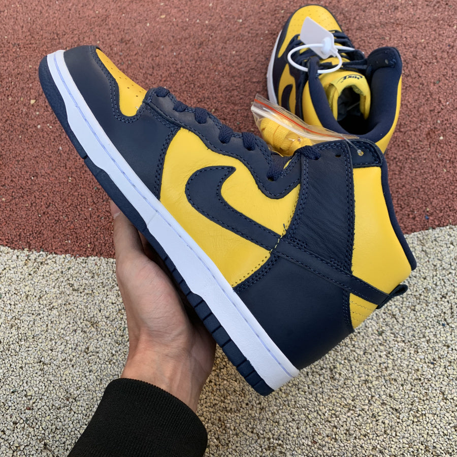 Nike Dunk High Michigan (2020)