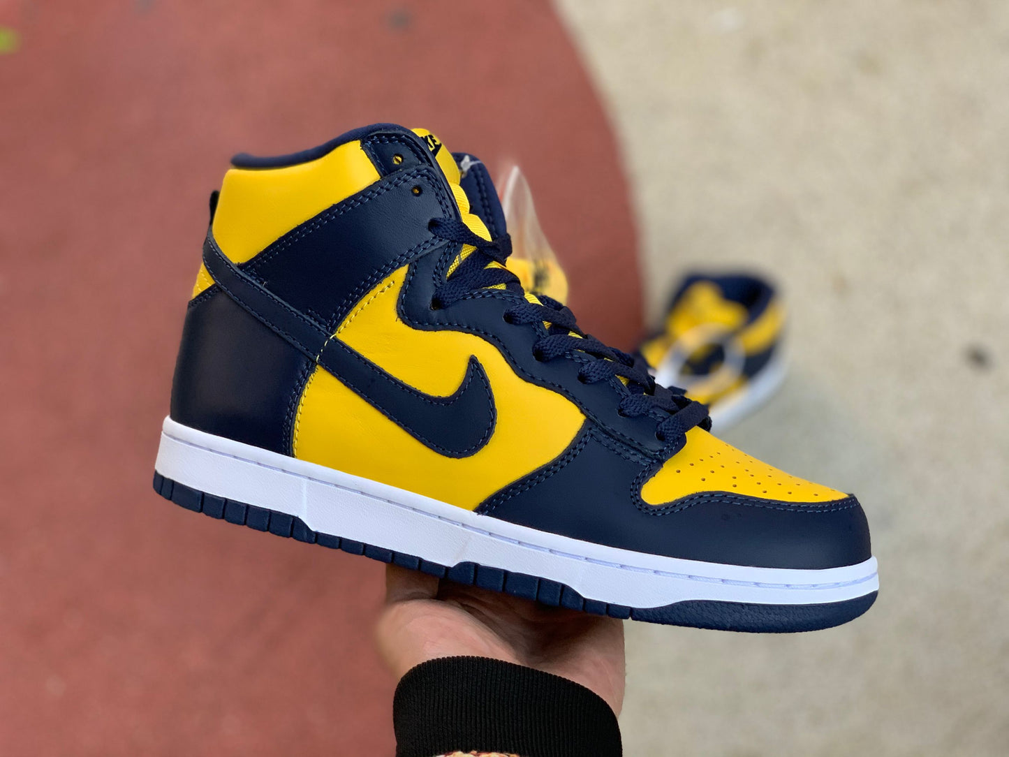 Nike Dunk High Michigan (2020)