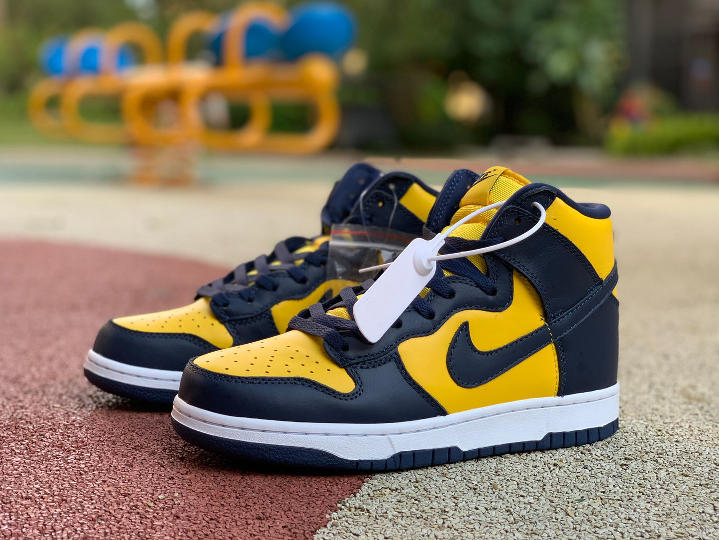 Nike Dunk High Michigan (2020)