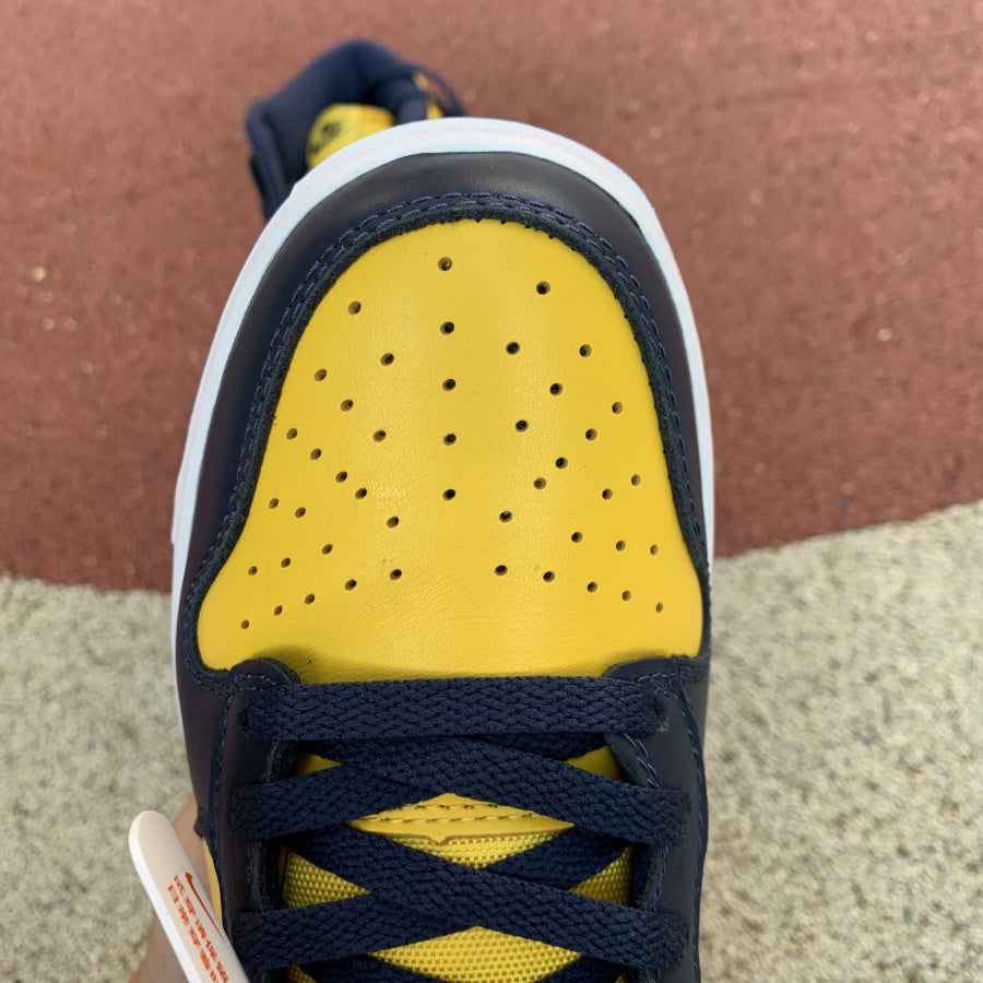 Nike Dunk High Michigan (2020)