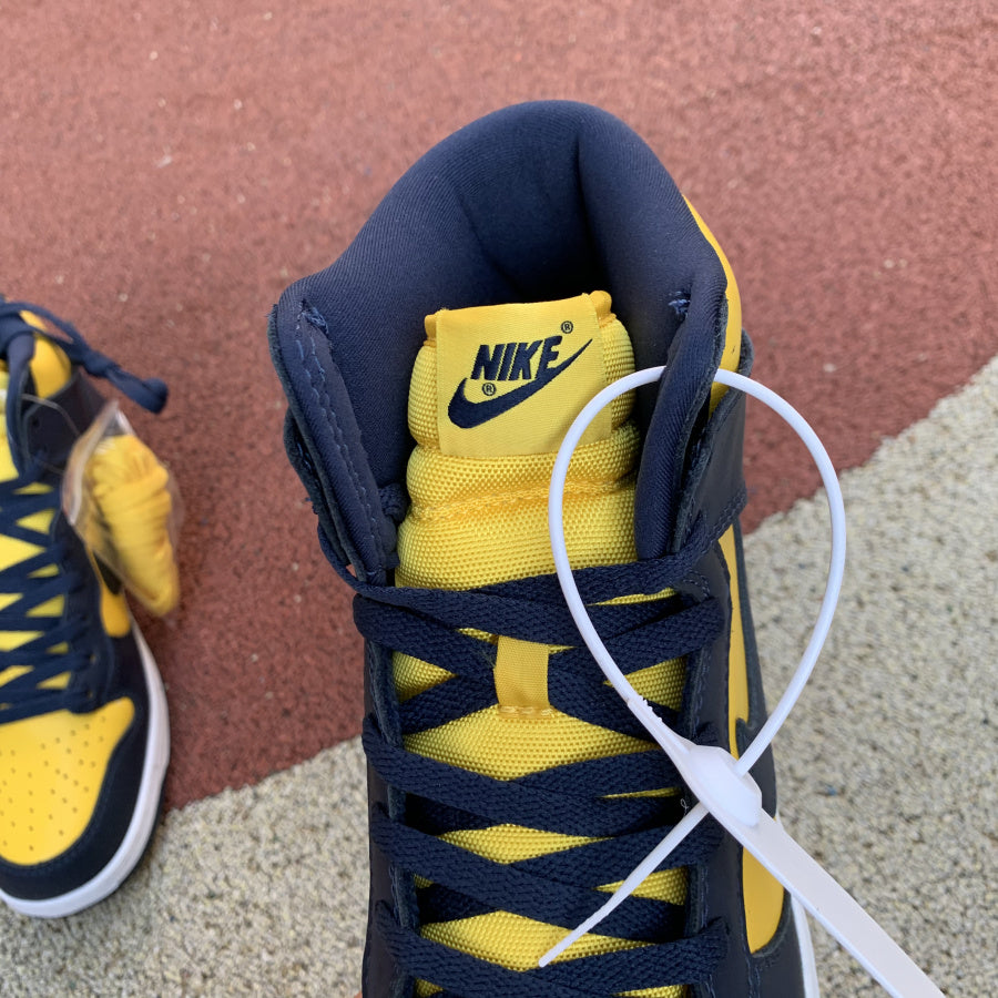 Nike Dunk High Michigan (2020)